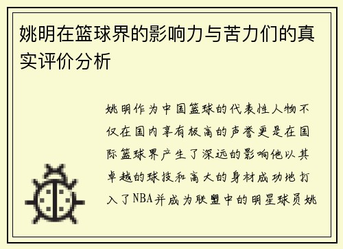姚明在篮球界的影响力与苦力们的真实评价分析